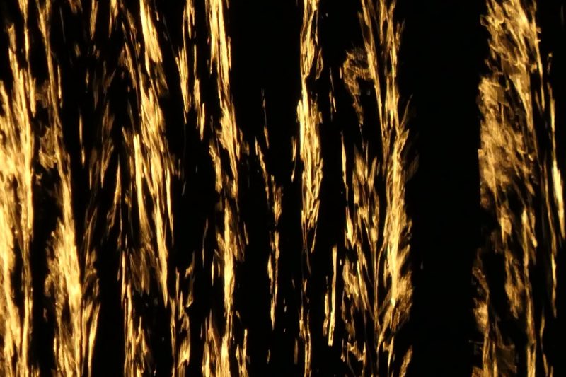 Movement — photograph by Paula Odenthal