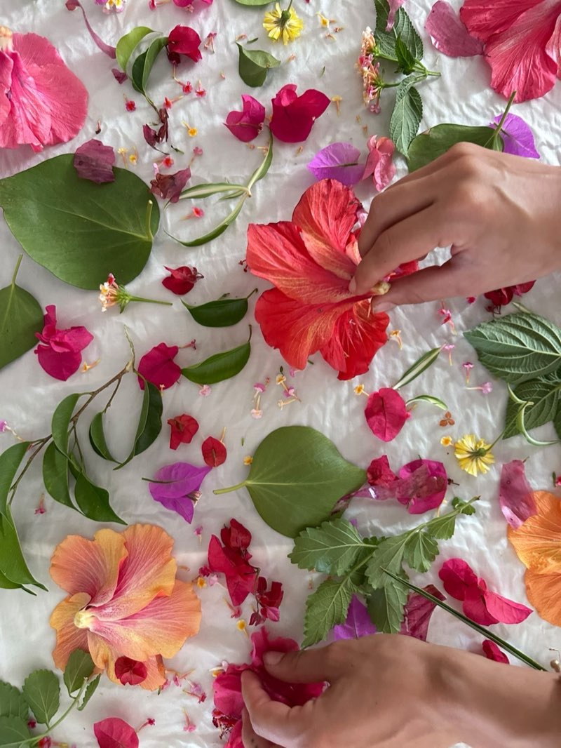 Close-up: placing a hibiscus on the silk